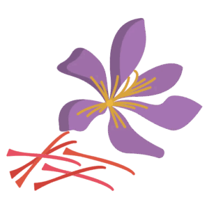 Saffron (জাফরান)